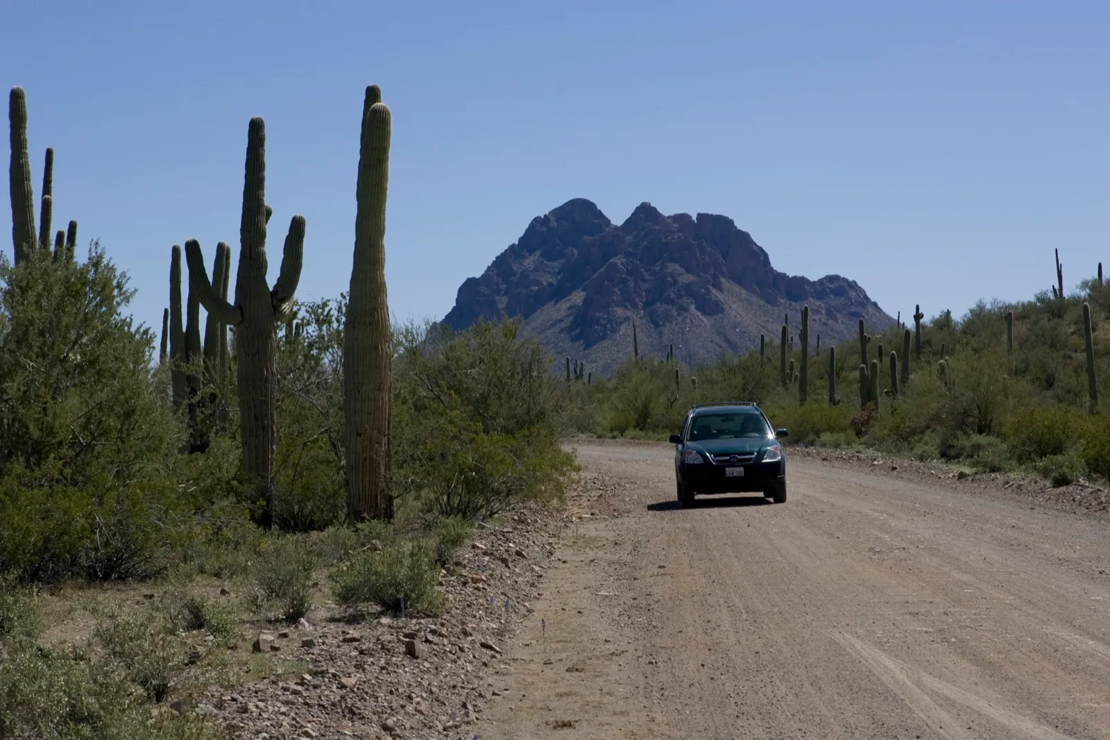 A car driving down a dirt road through saguaro cactus and desert brush in rural Arizona, with a rocky peak behind it