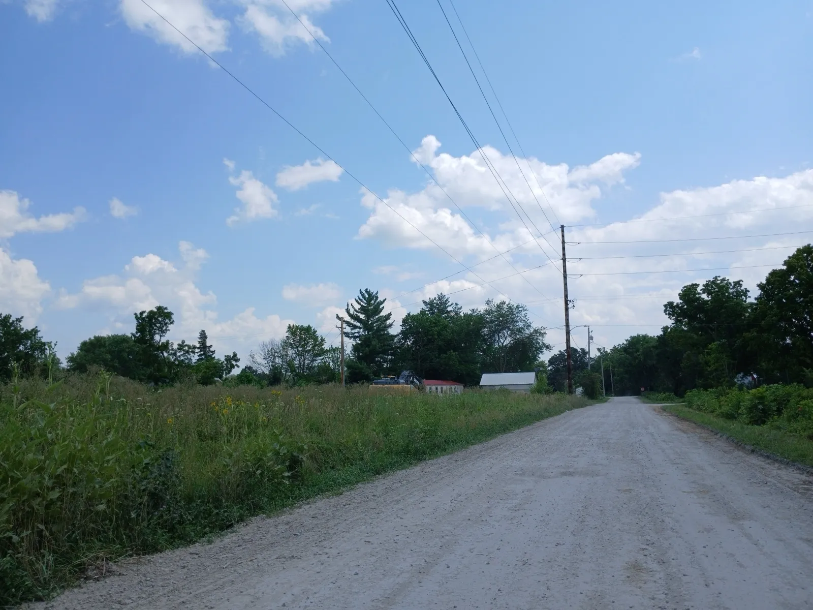 A gravel road running between tall summer grass and trees in central Iowa, with power lines and a few farm buildings under a blue sky