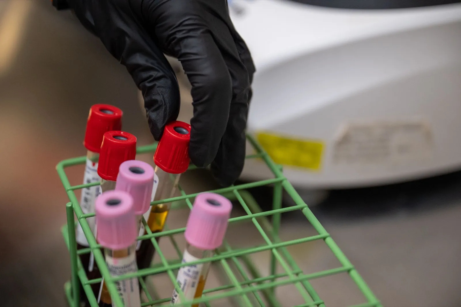 A gloved hand sets a capped blood sample tube into a green wire test tube rack in a laboratory