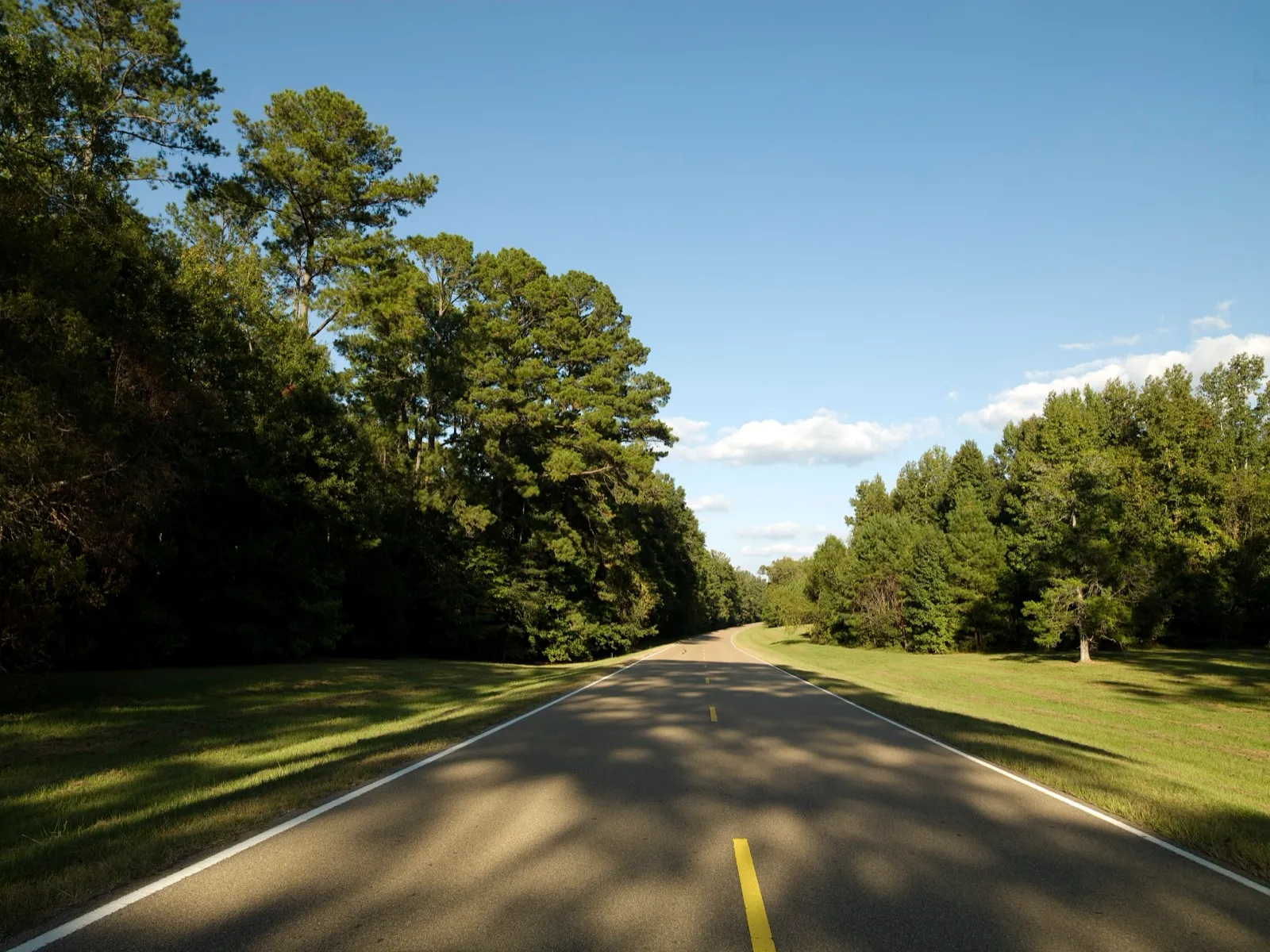 The two-lane Natchez Trace Parkway in Mississippi running between tall pines and mowed grass under a blue sky