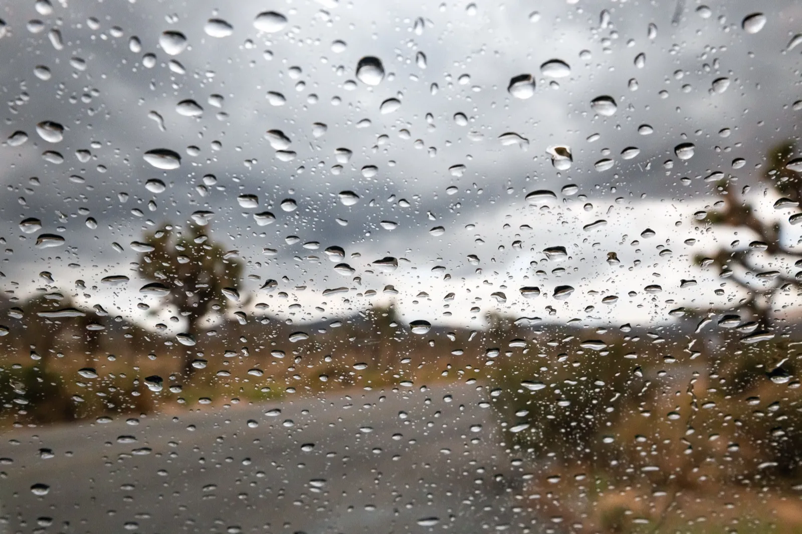 Raindrops on a car windshield, with an empty road and desert trees out of focus beyond the glass