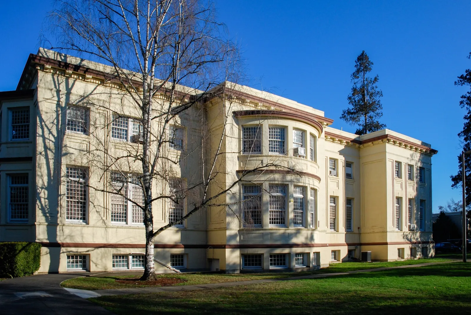 A cream three-story building with bay windows behind a bare birch tree and a green lawn on the Oregon State Hospital campus in Salem
